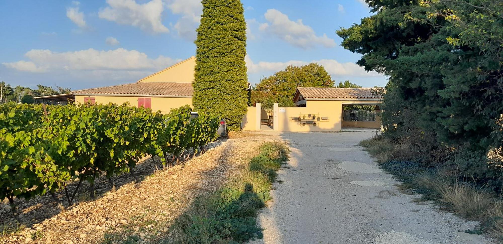Mas La Gentille ,,, A La Campagne , Beautiful Outdoor , Swimming Pool , Pool House , Nice Green Garden , Bbq ,,, Only For You , Pour Passer Un Sejour Inoubliable Pernes-les-Fontaines Exteriér fotografie